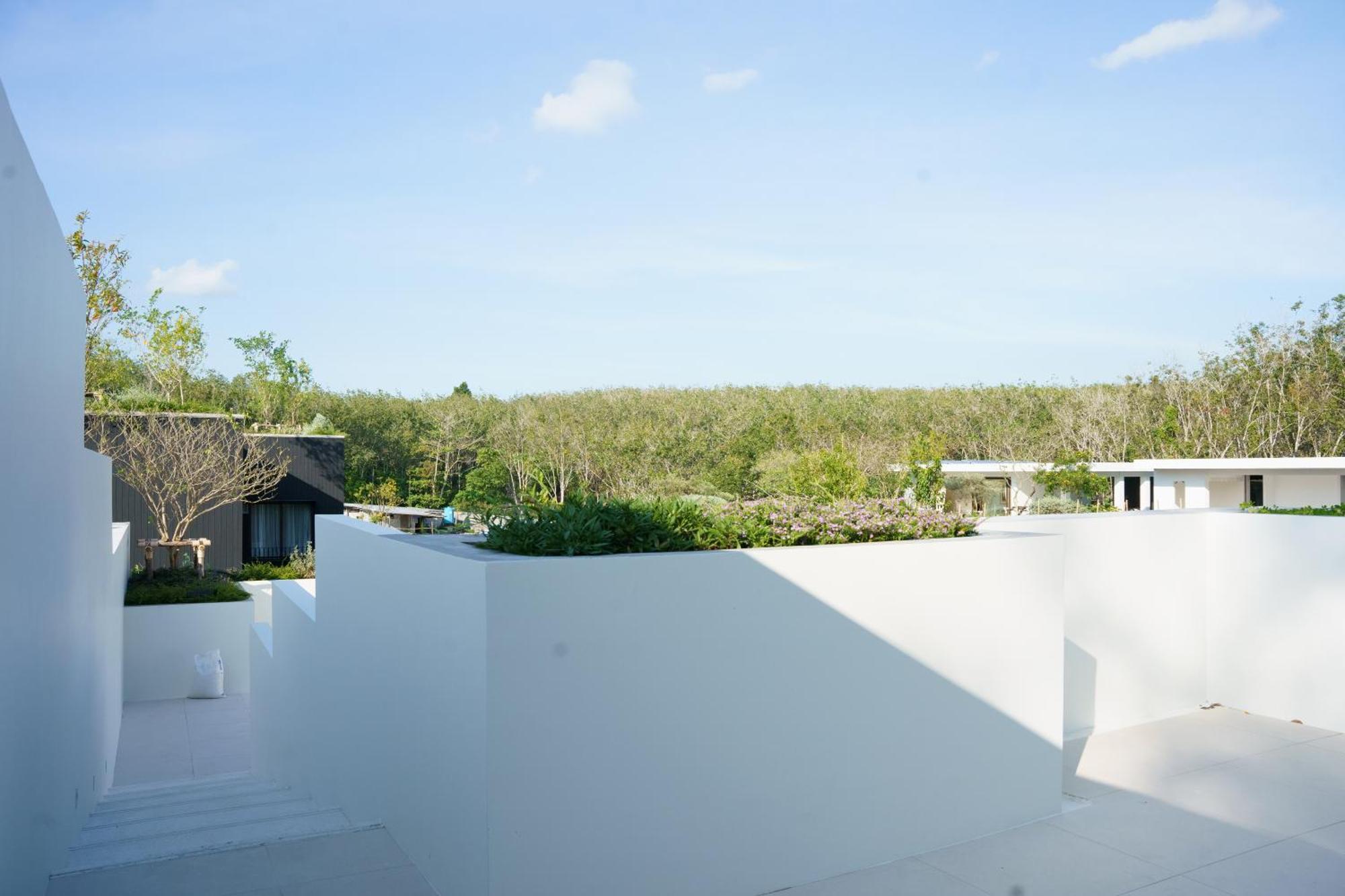 Tree O'Clock Pool Villa - Phuket Таланг Номер фото